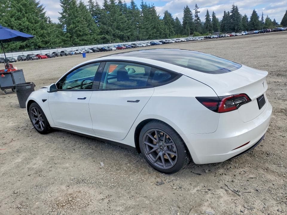 2021 TESLA MODEL 3 2