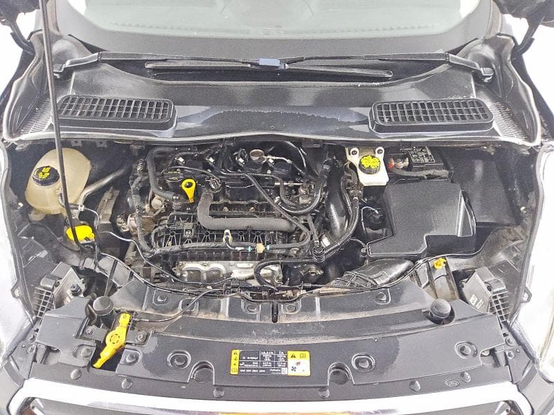 2019 FORD ESCAPE SE 12