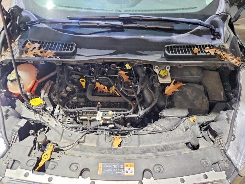 2019 FORD ESCAPE SE 12