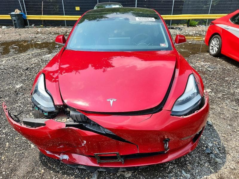 2019 TESLA MODEL 3 11