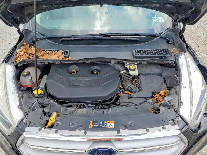 2019 FORD ESCAPE TITANIUM 12