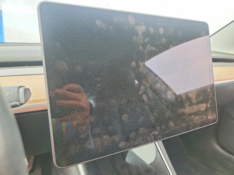 2019 TESLA MODEL 3 9