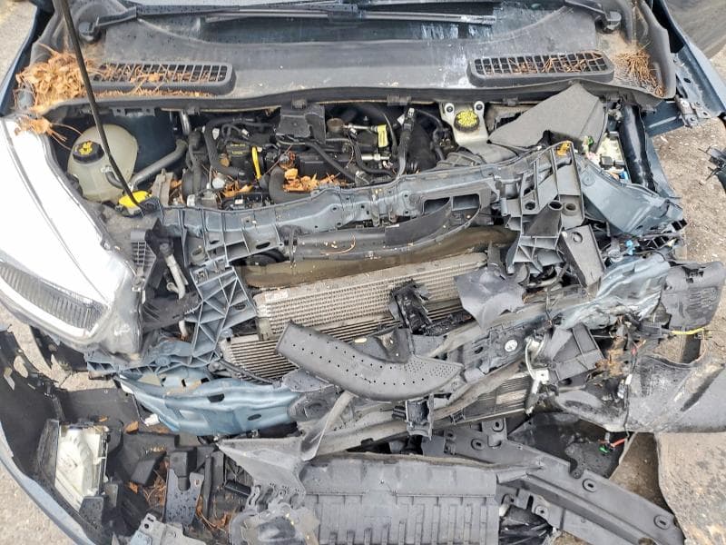 2019 FORD ESCAPE SE 12