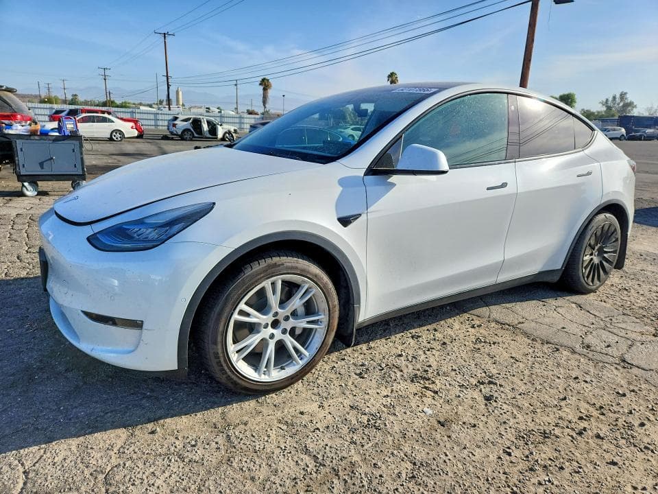 2021 TESLA MODEL Y - 1