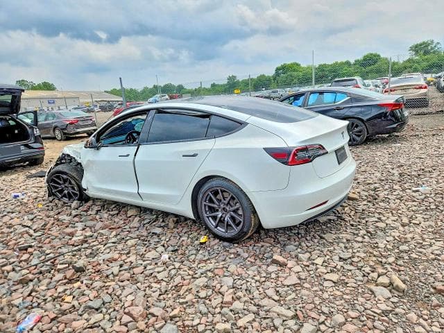 2020 TESLA MODEL 3 2
