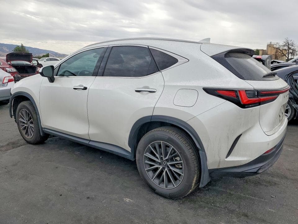 2024 LEXUS NX 350H PREMIUM 2