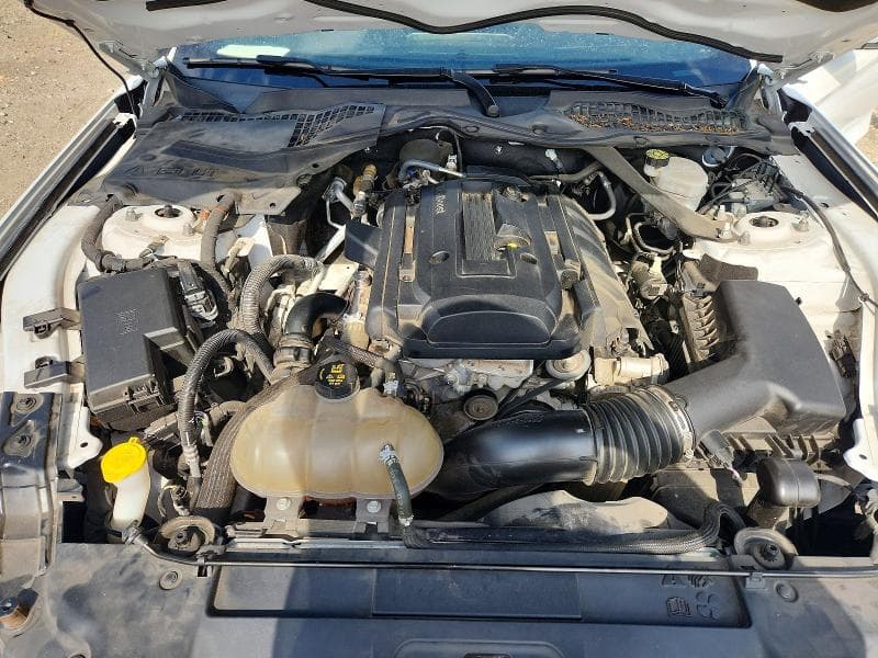 2019 FORD MUSTANG 11