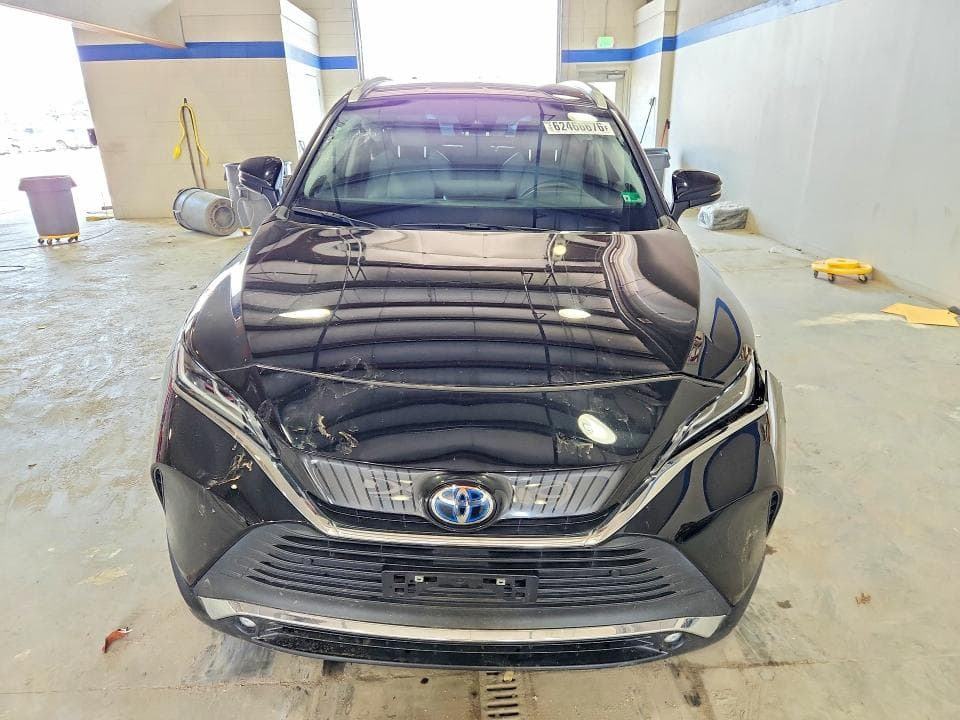 2024 TOYOTA VENZA XLE 5