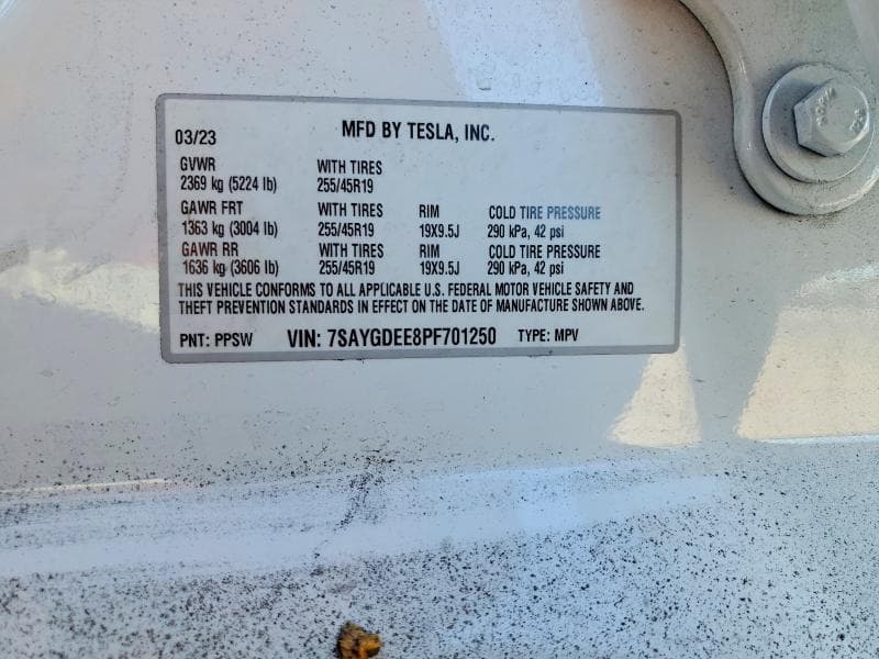 2023 TESLA MODEL Y 12