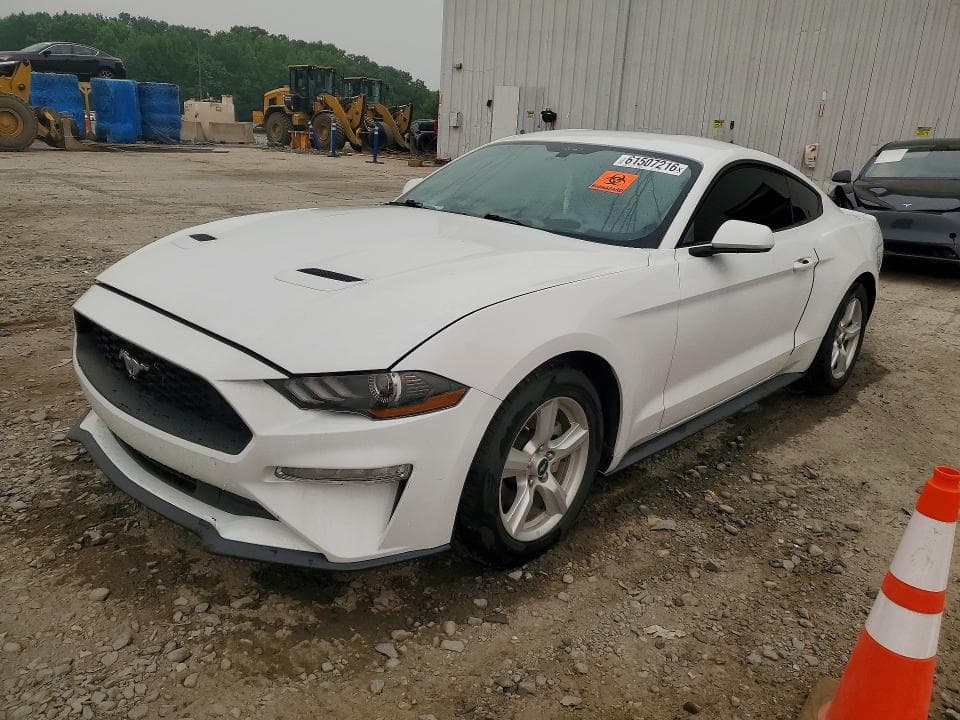 2019 FORD MUSTANG - 1