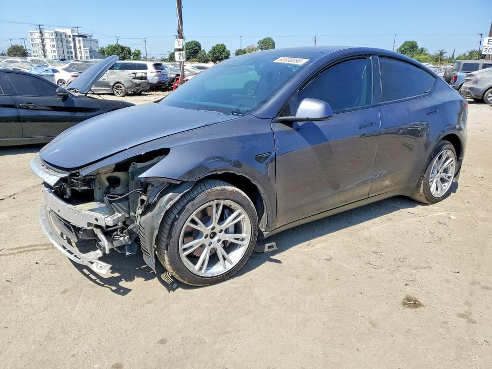 2021 TESLA MODEL Y - 1