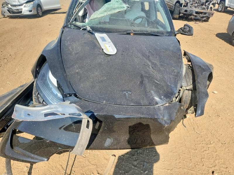 2023 TESLA MODEL Y 11