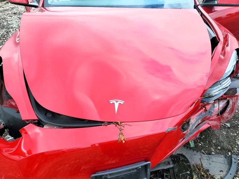 2022 TESLA MODEL Y 11