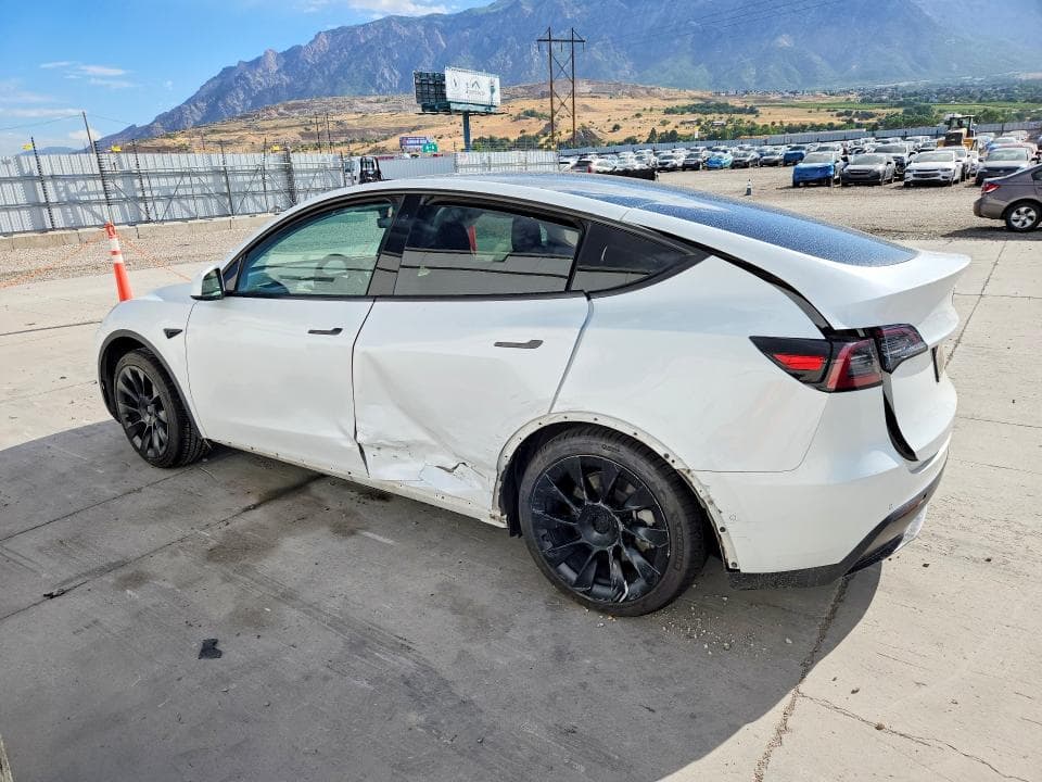 2021 TESLA MODEL Y 2