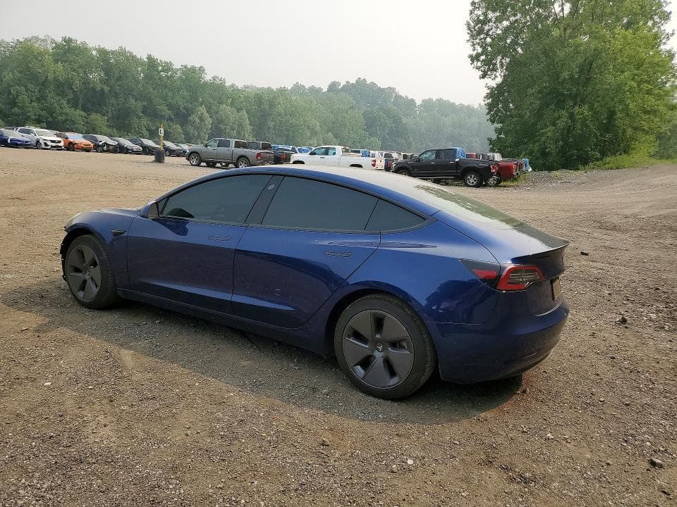 2019 TESLA MODEL 3 2