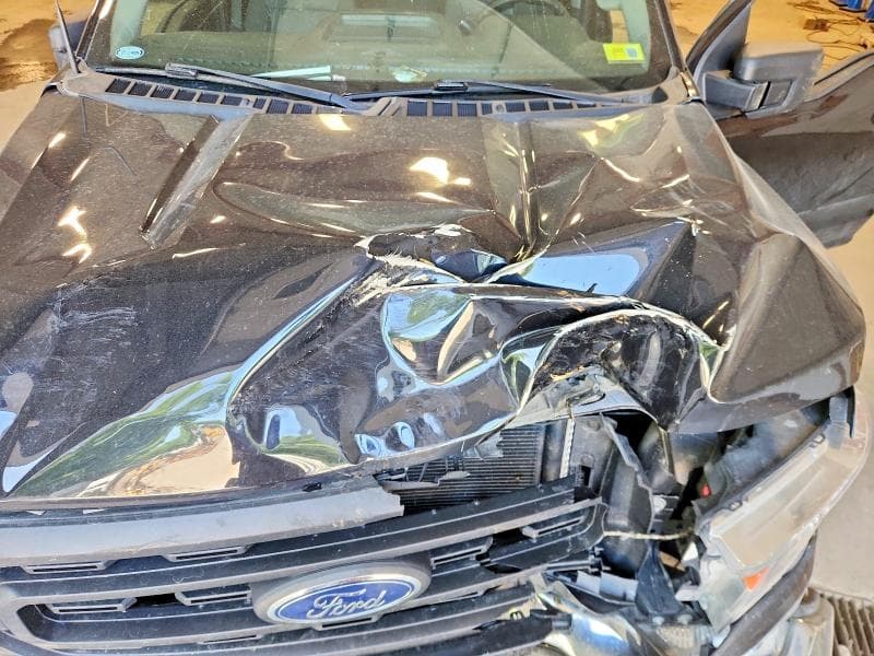 2021 FORD F150 SUPERCREW 11