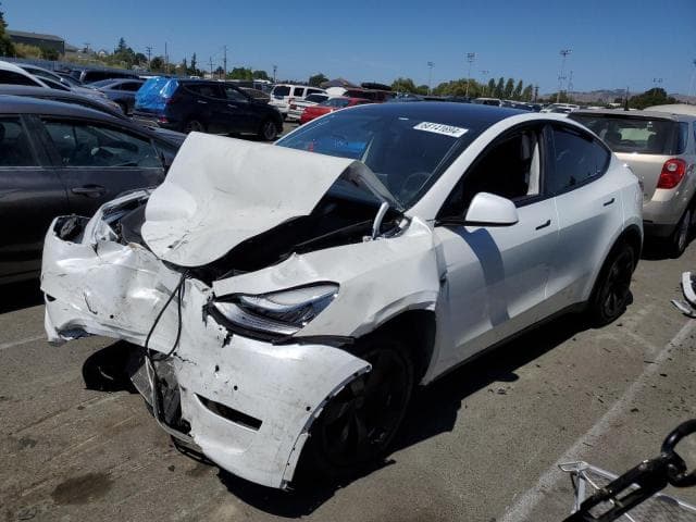 2020 TESLA MODEL Y