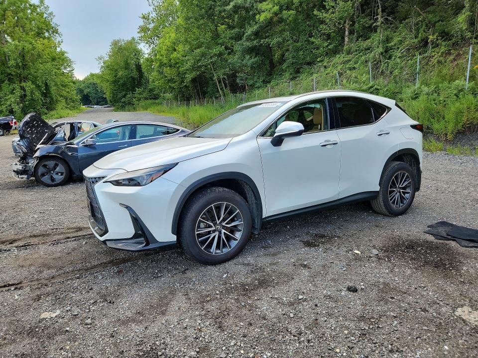 2024 LEXUS NX 350 BASE - 1