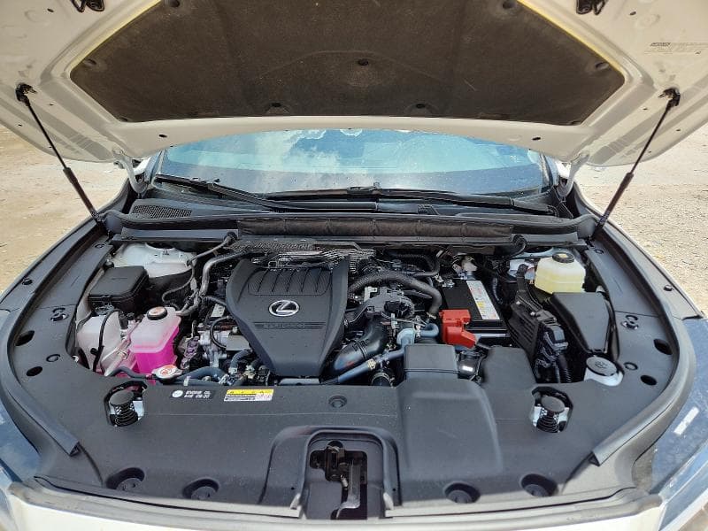 2026 LEXUS RX 12