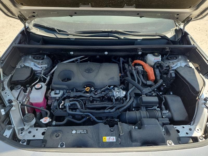 2025 TOYOTA RAV4 XSE 12
