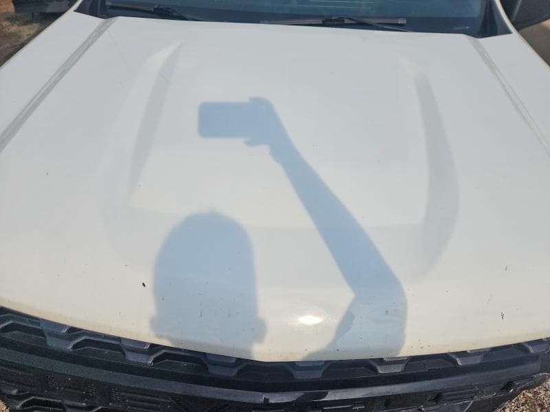 2019 CHEVROLET SILVERADO K1500 11