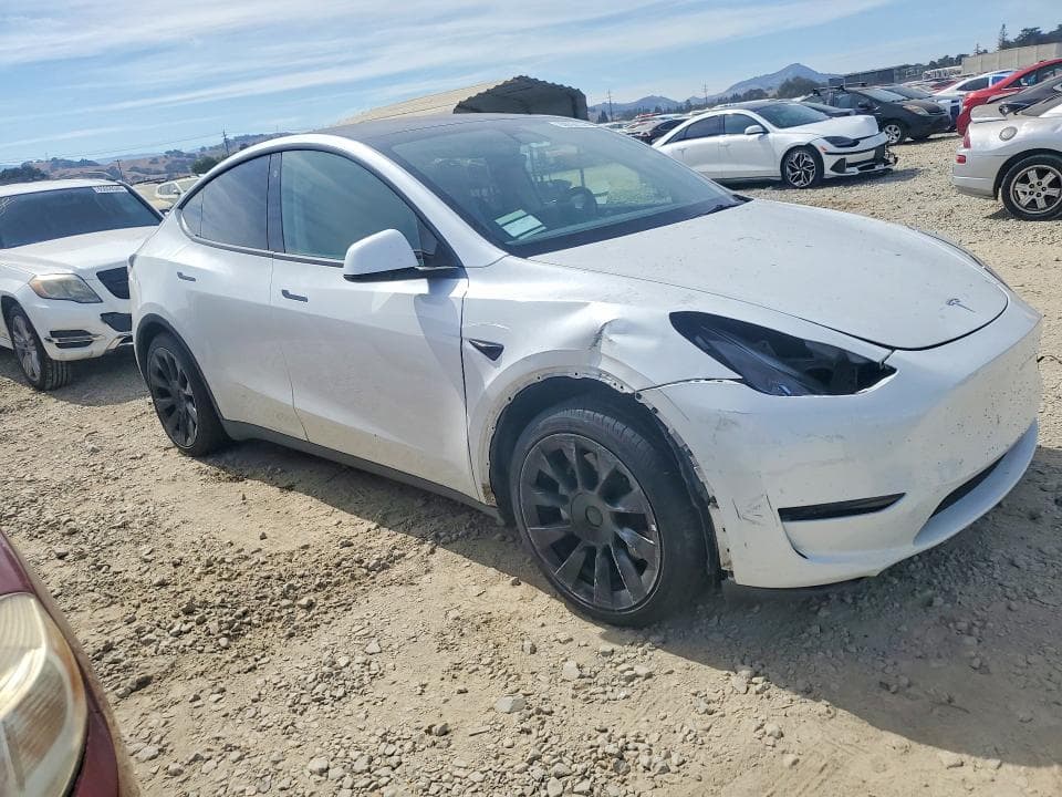 2023 TESLA MODEL Y 4