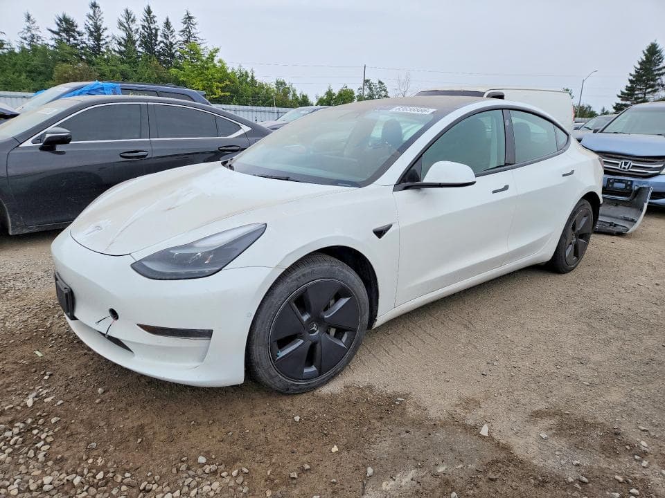 2021 TESLA MODEL 3 - 1