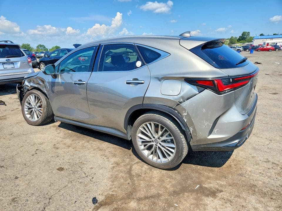 2025 LEXUS NX 350 LUXURY 2