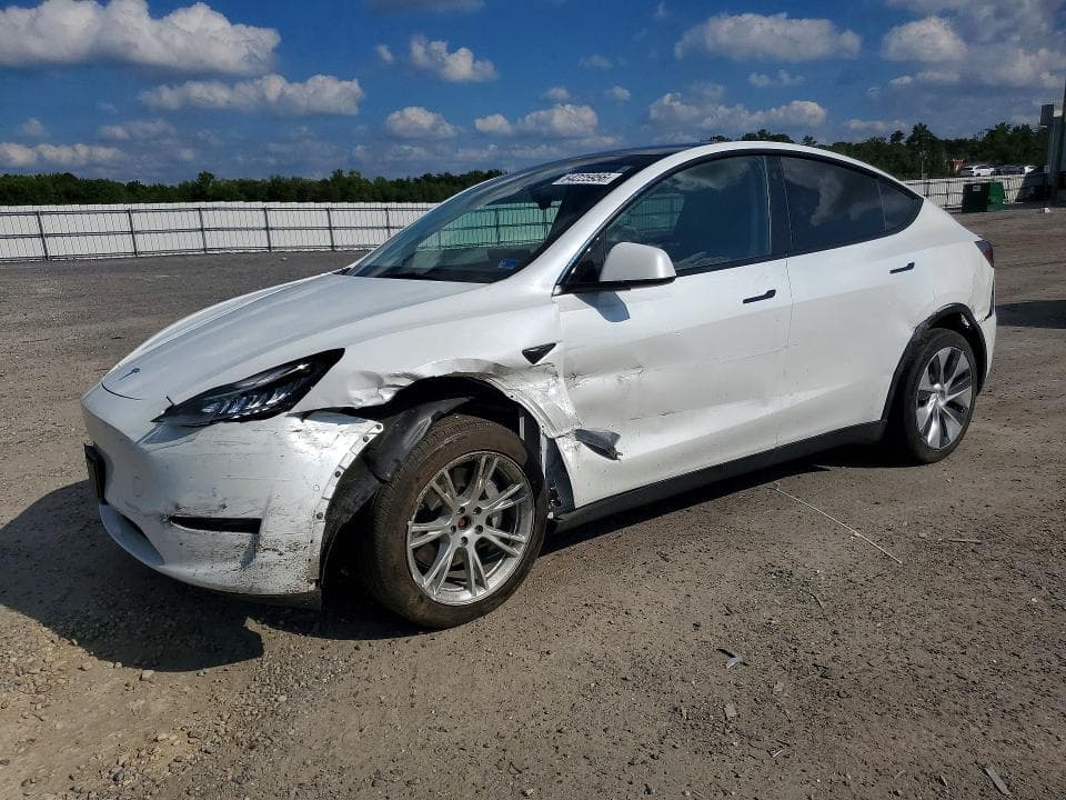 2021 TESLA MODEL Y - 1