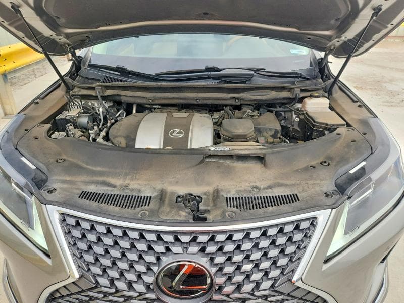 2020 LEXUS RX 350 12