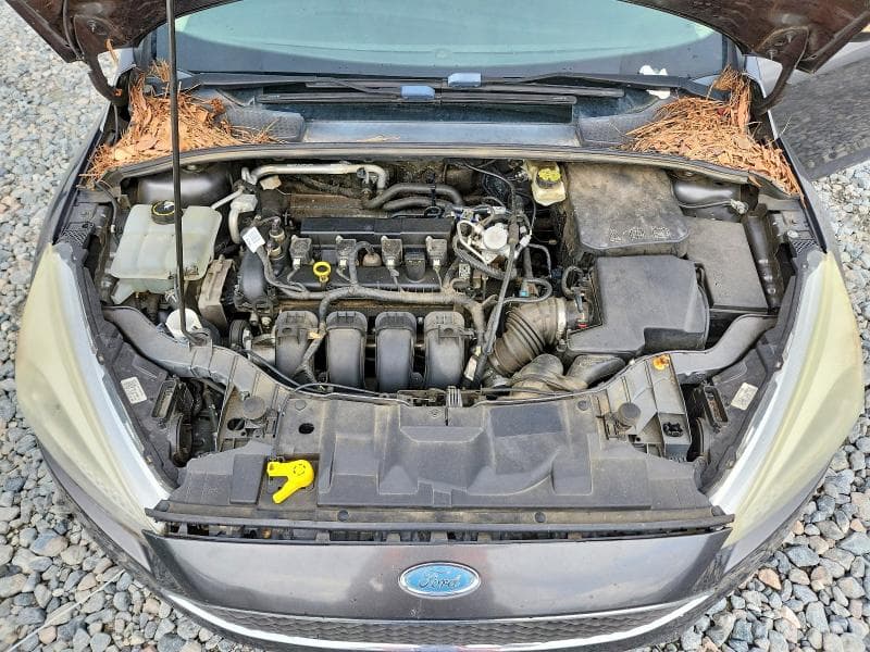 2017 FORD FOCUS SE 11