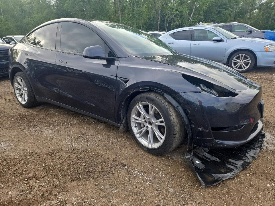 2024 TESLA MODEL Y 4