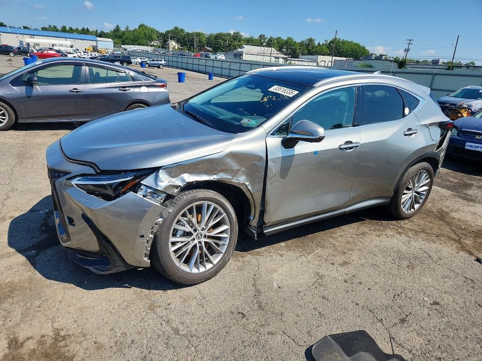 2025 LEXUS NX 350 LUXURY - 1