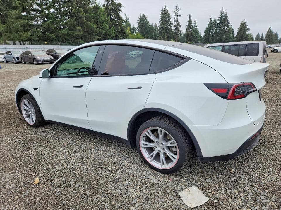 2023 TESLA MODEL Y 2