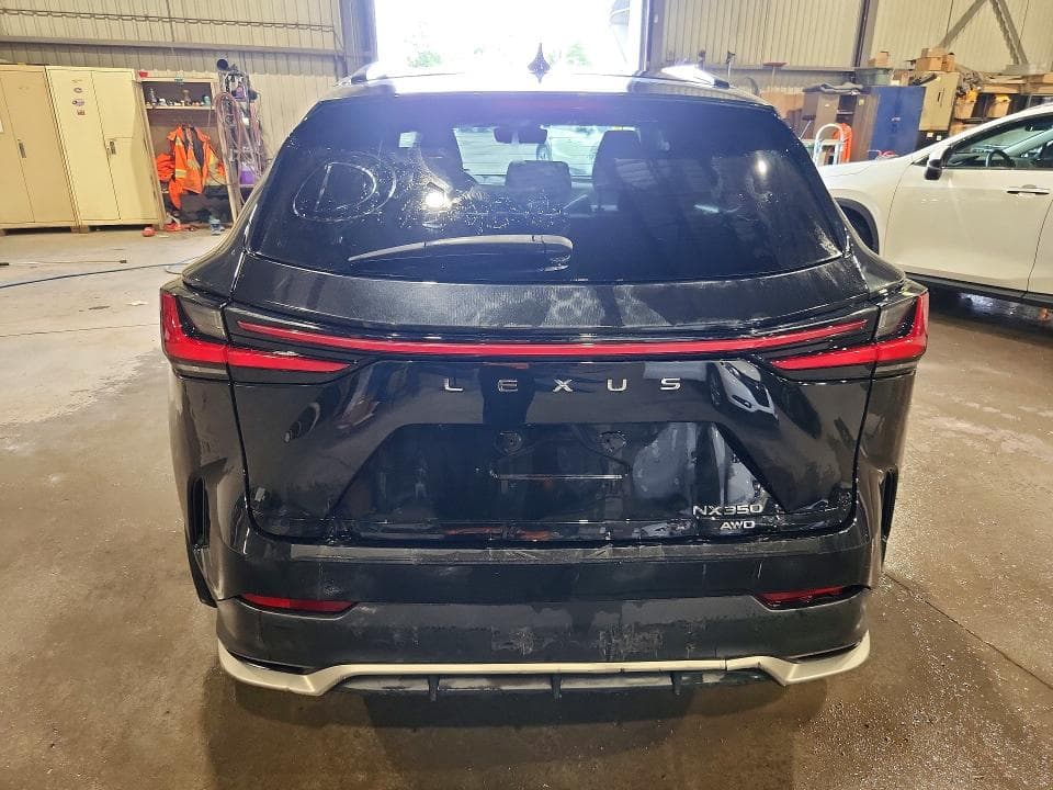 2023 LEXUS NX 350 6