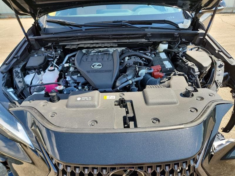 2025 LEXUS NX 350 PREMIUM 12