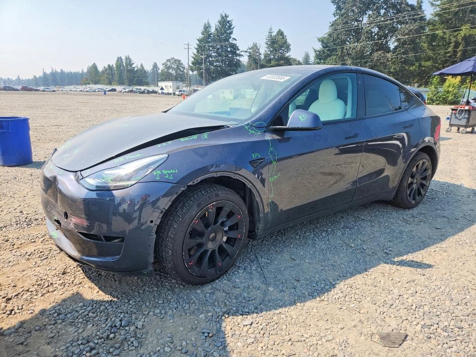 2020 TESLA MODEL Y - 1
