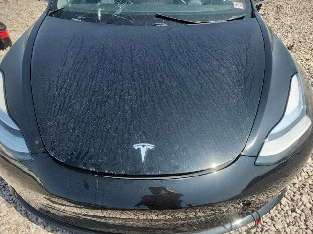 2019 TESLA MODEL 3 11
