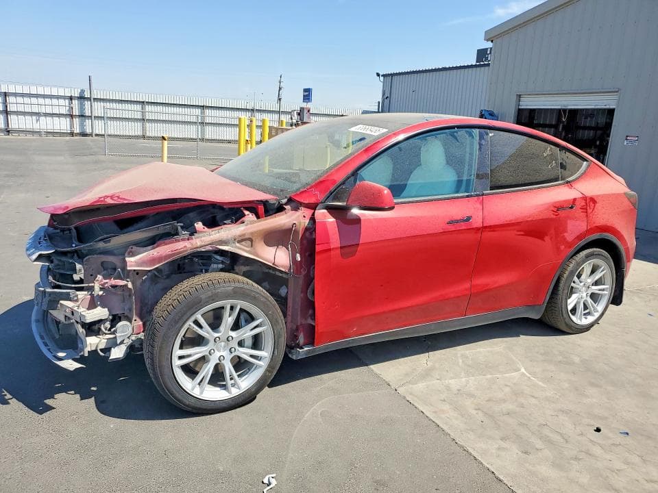 2021 TESLA MODEL Y - 1