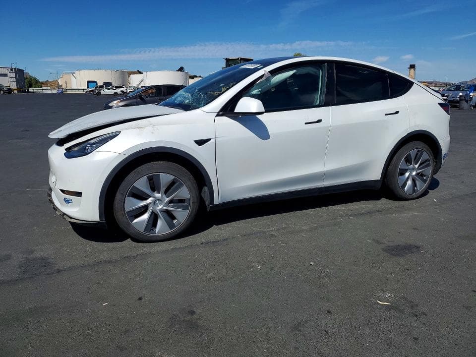2020 TESLA MODEL Y - 1