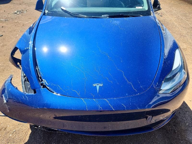2023 TESLA MODEL Y 11