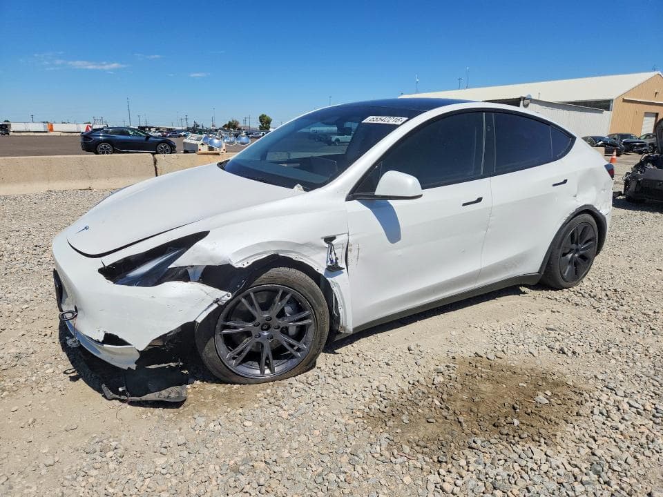 2024 TESLA MODEL Y - 1