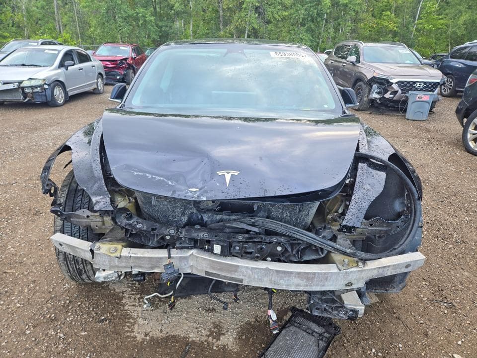 2019 TESLA MODEL 3 5