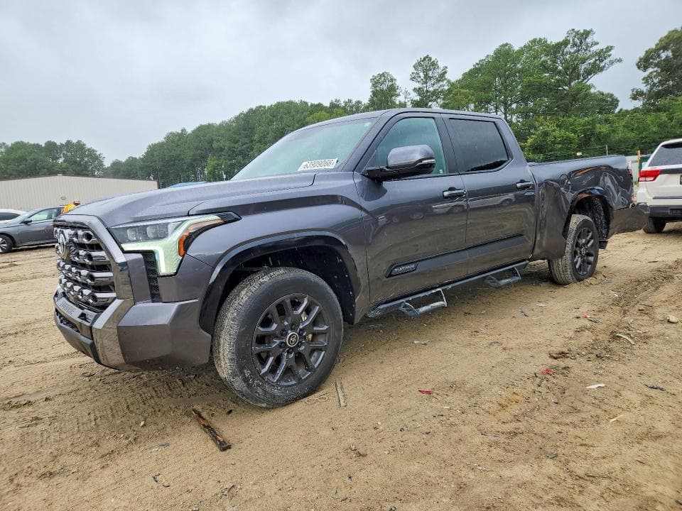 2024 TOYOTA TUNDRA PLATINUM - 1