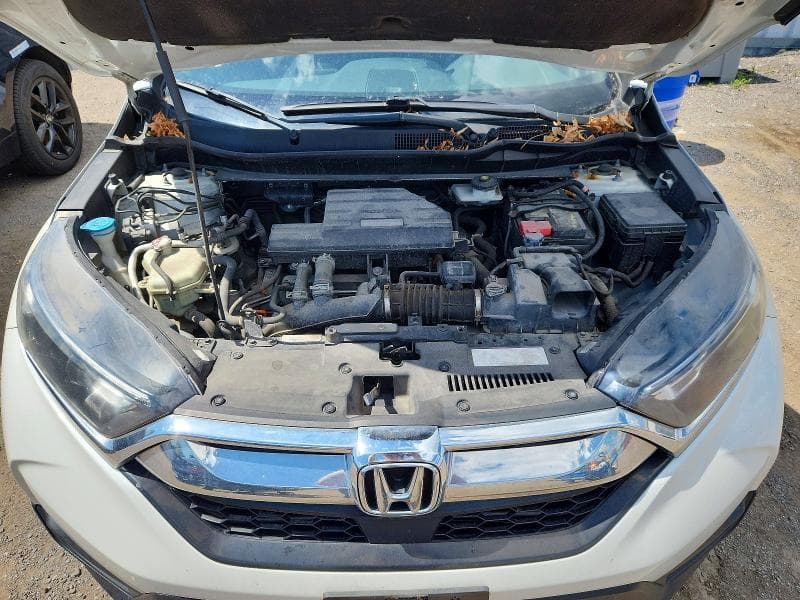 2019 HONDA CR-V LX 12