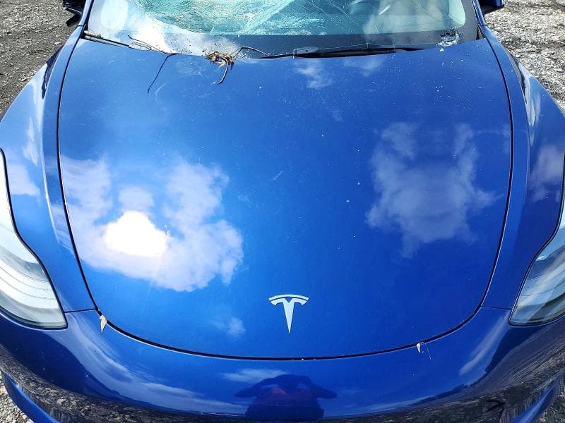 2023 TESLA MODEL 3 11