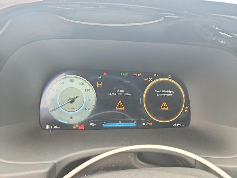 2025 HYUNDAI PALISADE CALLIGRAPHY 9