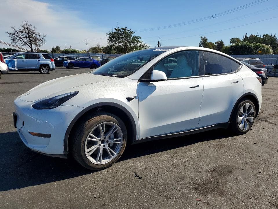 2024 TESLA MODEL Y - 1