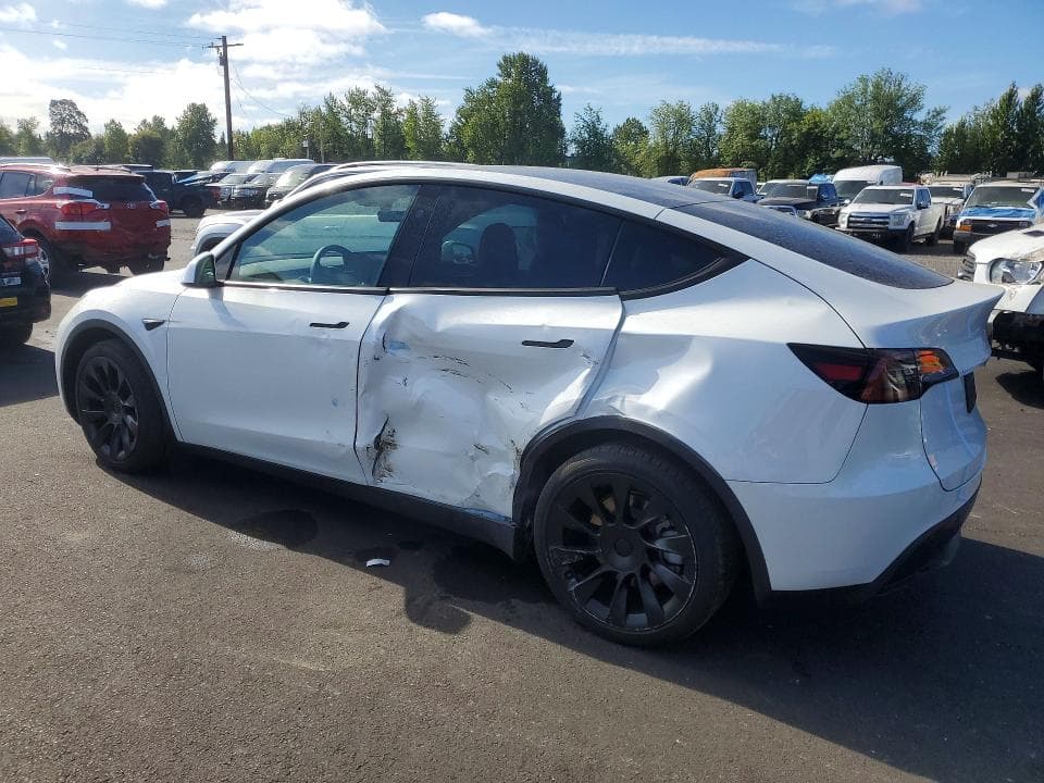 2024 TESLA MODEL Y 2