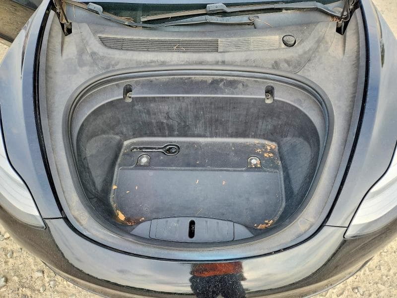 2020 TESLA MODEL 3 11